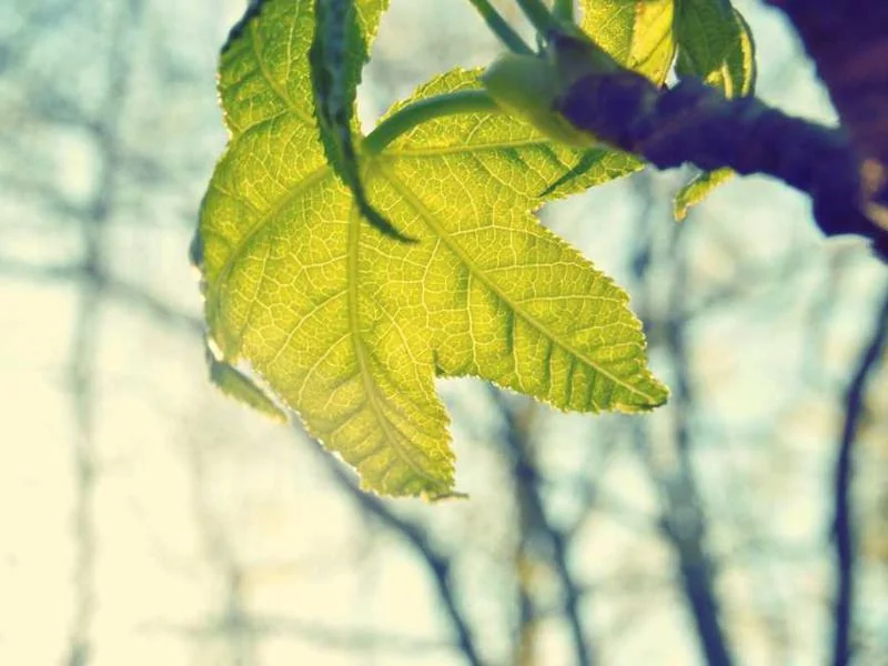 포천시고압세척,