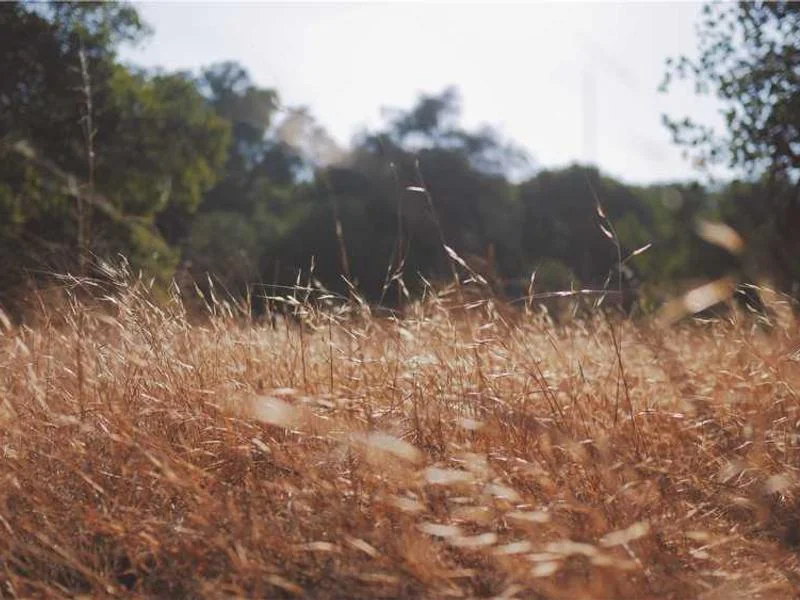 포천시변기막힘,