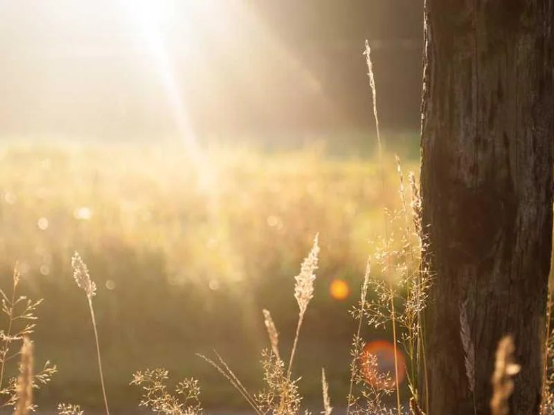 포천시변기역류,