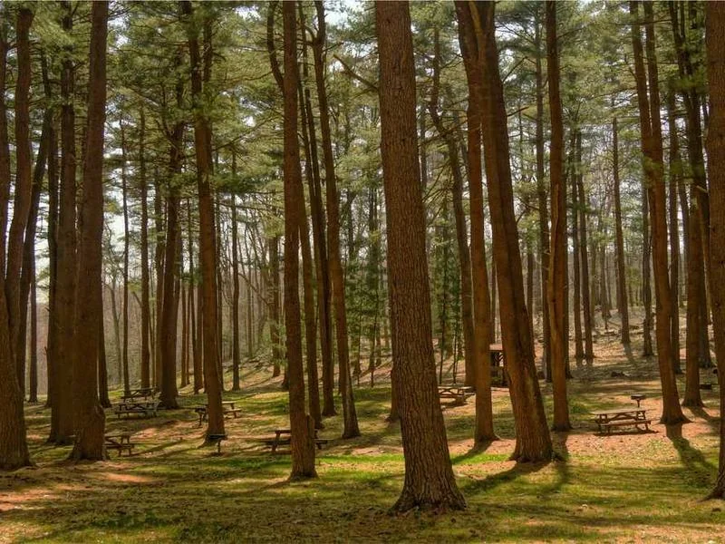 포천시변기역류,