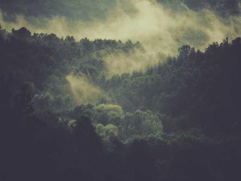 포천시변기역류,