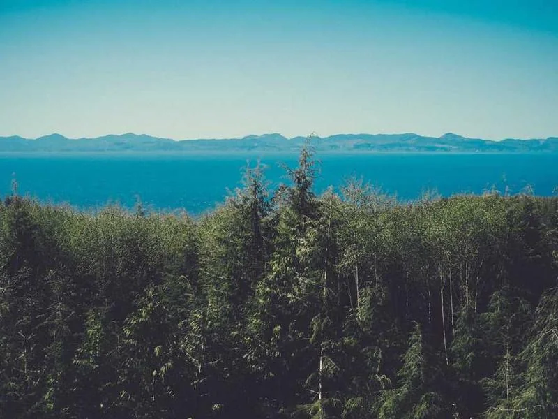 포천시하수구뚫는업체,