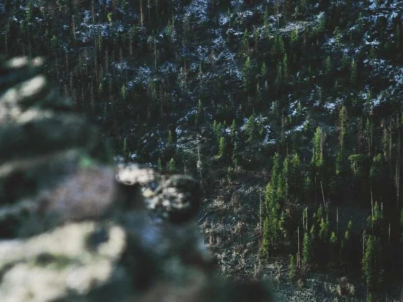 포천시하수구역류,